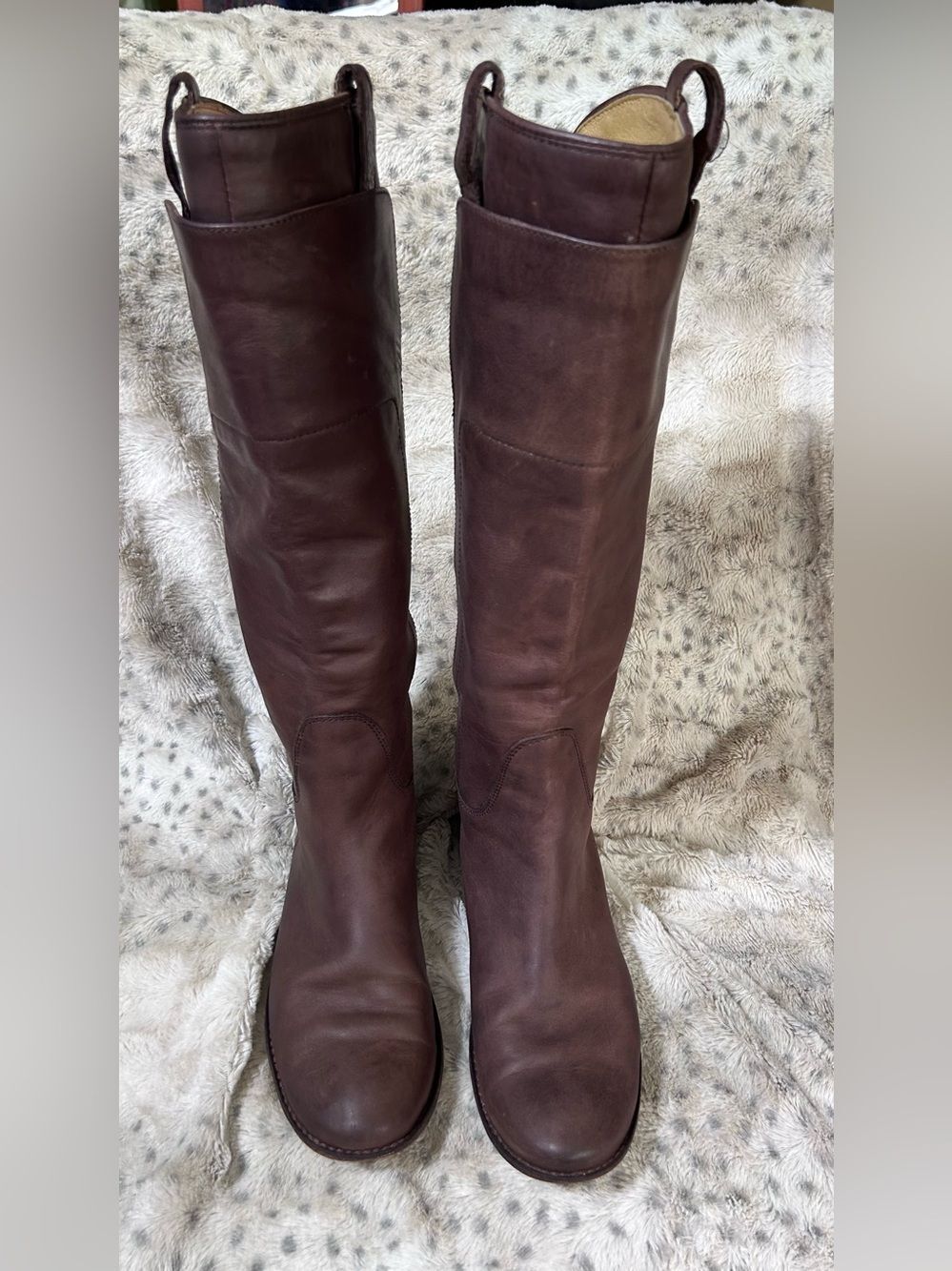 FRYE Paige Women's Tall Leather Riding Boots Brown Size 6 1/2 B